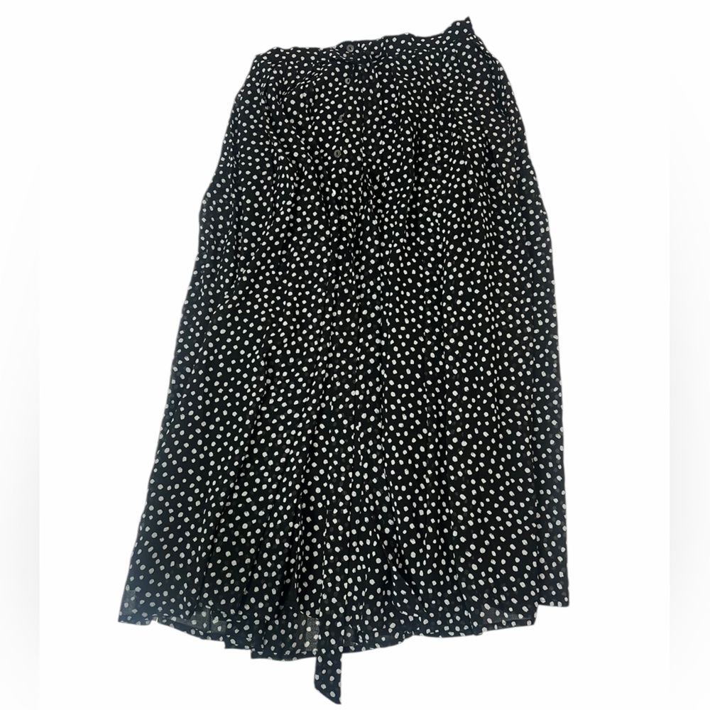 Zara Polka Dot Aline Skirt